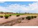 Scenic view of the golf course highlighting mature trees and manicured fairways at 7195 E Canyon Wren Dr, Gold Canyon, AZ 85118