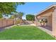 Green lawn, palm trees, and pool featured in backyard at 7919 E Posada Ave, Mesa, AZ 85212