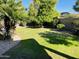 Lush backyard with a well-maintained lawn, mature trees, and privacy fence at 24809 N 41 Ave, Glendale, AZ 85310