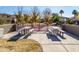 Outdoor picnic area with multiple tables, benches, shade trees, and well-maintained landscaping at 3890 S Star Canyon Dr, Gilbert, AZ 85297