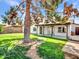 Spacious backyard with lush lawn, mature tree, and covered patio, perfect for outdoor entertaining and relaxation at 108 W Ivyglen St, Mesa, AZ 85201