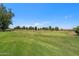 Expansive view of the lush golf course, showcasing the manicured green and surrounding mature trees at 1202 Leisure World --, Mesa, AZ 85206
