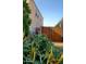 Private backyard featuring gravel, mature trees, bushes and tall fencing, perfect for relaxing outdoors at 1280 W Blue Ridge Dr, San Tan Valley, AZ 85140