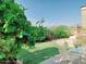 Beautiful backyard with lush lawn, mature trees, and an outdoor dining area, perfect for entertaining at 1280 W Blue Ridge Dr, San Tan Valley, AZ 85140