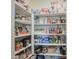 Organized walk-in pantry with plenty of shelving for ample storage at 1280 W Blue Ridge Dr, San Tan Valley, AZ 85140