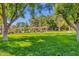 Lush green common area surrounded by mature trees and tropical foliage, providing a serene oasis at 1633 E Lakeside Dr # 106, Gilbert, AZ 85234