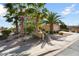 Single story home featuring desert landscaping and mature palm trees at 16564 W Wild Horse Way, Surprise, AZ 85387