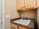 Practical laundry room with utility sink and cabinet storage at 16564 W Wild Horse Way, Surprise, AZ 85387