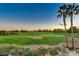 Picturesque golf course view with palm trees and manicured greens in a serene, landscaped setting at 17637 W Browning Dr, Surprise, AZ 85374