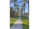 Shaded community walking path lined with lush green grass and mature palm trees at 22499 N Dietz Dr, Maricopa, AZ 85138