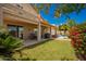Spacious backyard with a covered patio, barbecue, lush lawn, palm trees, and an inviting pool area at 2741 N 137Th Ave, Goodyear, AZ 85395