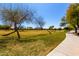 Expansive grassy area with mature trees and a paved walking path, offering ample space for outdoor recreation at 3535 E Crescent Way, Gilbert, AZ 85298