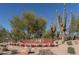 The Aviano community entrance is beautifully landscaped with desert plants and flowers at 3822 E Tracker Trl, Phoenix, AZ 85050