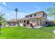Expansive backyard with a pristine pool, lush lawn, outdoor kitchen, and mature palm trees at 4455 E Palmdale Ln, Gilbert, AZ 85298