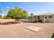 Wide shot of the backyard featuring desert landscaping, a covered patio, and fruit-bearing trees at 4734 E Florian Cir, Mesa, AZ 85206