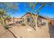 Backyard view of home with a covered patio, BBQ, and desert landscaping, creating a tranquil outdoor space at 1268 S 238Th Ln, Buckeye, AZ 85326