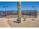 Tennis courts are surrounded by lush desert landscaping, creating a peaceful setting for recreational activities at 1708 W Gambit Trl, Phoenix, AZ 85085