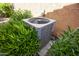 Home AC unit surrounded by lush green bushes at 26293 W Runion Ln, Buckeye, AZ 85396