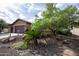 Beautifully landscaped front yard featuring desert plants and a lush green tree against a bright sky at 26293 W Runion Ln, Buckeye, AZ 85396