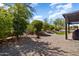 Expansive backyard featuring decorative gravel ground cover, mature trees and view to the patio at 26797 W Sierra Pinta Dr, Buckeye, AZ 85396