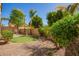 Backyard featuring tasteful landscaping, including gravel, turf, pond, and lots of trees and bushes at 4617 S Carmine --, Mesa, AZ 85212