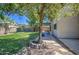 Lush backyard featuring a mature tree, covered patio, and well-maintained landscaping at 5618 W Blackhawk Dr, Glendale, AZ 85308