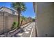 Side yard featuring a stone and gravel pathway, lined with palm trees and greenery at 5618 W Blackhawk Dr, Glendale, AZ 85308