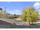 View of the neighborhood with houses and mature landscaping at 1093 E Doral Ave, Gilbert, AZ 85297