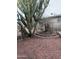 Backyard featuring desert landscaping, cactus, and a bricked landscape feature at 12639 N 113Th Dr, Youngtown, AZ 85363