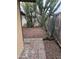 Desert backyard featuring mature cactus, pavers, and a chain link fence at 12639 N 113Th Dr, Youngtown, AZ 85363