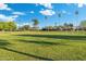 Scenic park offering green space with soccer goals at 1317 E Verlea Dr, Tempe, AZ 85282