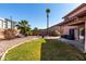 Lush backyard with a grassy area, mature palm trees, and a covered patio, creating a serene outdoor space at 1737 S Talbot --, Mesa, AZ 85209