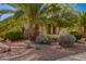 Lush front yard featuring mature trees, desert landscaping, and appealing curb appeal at 18867 N Cactus Flower Way, Surprise, AZ 85387