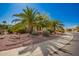 Beautiful front yard with mature palm trees and well-maintained desert landscaping at 18867 N Cactus Flower Way, Surprise, AZ 85387