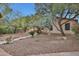 Desert landscaped backyard with stone pathway, mature trees, and covered patio at 20838 N 39Th Dr, Glendale, AZ 85308