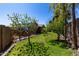 A spacious backyard featuring a lush green lawn, mature trees, and wooden fencing, enhancing privacy at 3514 W Sands Dr, Glendale, AZ 85310