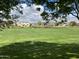 Scenic community park with lush green grass, trees, and neighborhood amenities at 4786 E Laurel Ct, Gilbert, AZ 85234