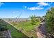 Spacious backyard with a pergola, mature trees, and a block fence providing privacy and a peaceful outdoor setting at 5318 W Grenadine Rd, Laveen, AZ 85339
