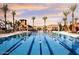 Resort-style pool with palm trees at 6279 S Martingale Ct, Gilbert, AZ 85298