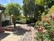 Landscaped backyard featuring a winding path, flower beds, mature trees, and rock accents at 8552 E Vía Del Palacio --, Scottsdale, AZ 85258