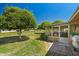 View of a backyard featuring a large tree, green grass, an enclosed patio, and clear blue skies at 11012 W Caron Dr, Sun City, AZ 85351