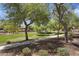 Scenic view of community green space showcasing lush lawns, mature trees, and a serene walking path at 11959 W Vernon Ave, Avondale, AZ 85392
