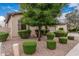 Landscaped front yard featuring manicured bushes and rock ground cover for low maintenance at 19571 E Strawberry Dr, Queen Creek, AZ 85142