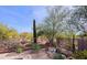 Backyard featuring lush desert landscaping and privacy fencing, creating a serene retreat at 32835 N 70Th St, Scottsdale, AZ 85266