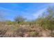 Scenic desert landscape featuring native plants and trees under a bright blue sky at 32835 N 70Th St, Scottsdale, AZ 85266
