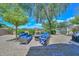 Spacious backyard featuring lush landscaping, cozy seating, and a built-in barbecue area for entertaining guests at 4306 W Summerside Rd, Laveen, AZ 85339