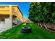 Spacious backyard featuring lush green grass, mature trees, and a unique tire swing at 4812 S Windstream Pl, Chandler, AZ 85249