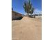 Large backyard with mature trees provides ample space for outdoor activities at 4924 W Catalina Dr, Phoenix, AZ 85031