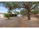 Spacious backyard with a shed, mature trees, offering a serene and private outdoor space at 639 N 57Th Pl, Mesa, AZ 85205