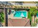A pristine backyard oasis featuring a sparkling pool, complemented by desert landscaping and well-manicured greenery at 903 W Raven Dr, Chandler, AZ 85286